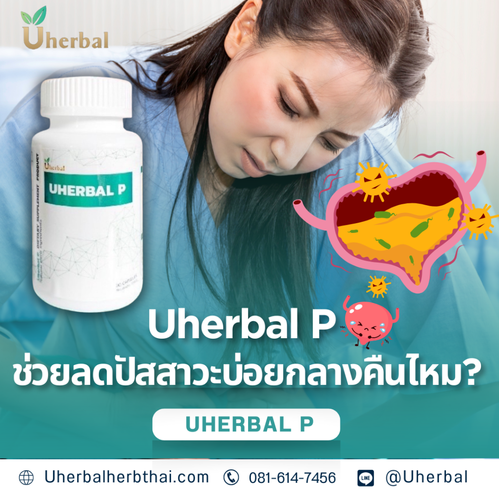 Uherbal P ช่วยลดปัสสาวะบ่อยกลางคืนไหม?