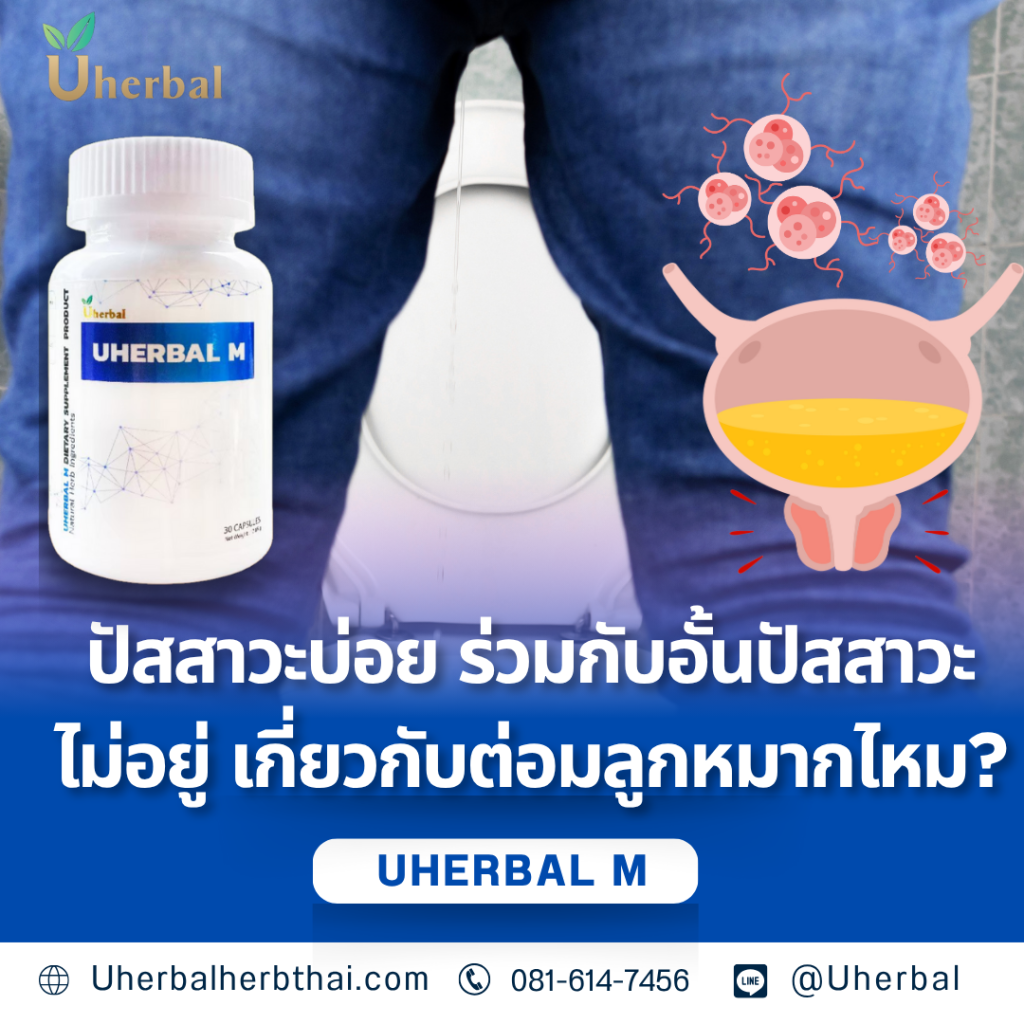 ปัสสาวะบ่อย ร่วมกับอั้นปัสสาวะไม่อยู่ เกี่ยวกับต่อมลูกหมากไหม?