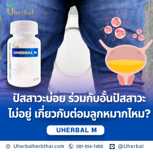 ปัสสาวะบ่อย ร่วมกับอั้นปัสสาวะไม่อยู่ เกี่ยวกับต่อมลูกหมากไหม?