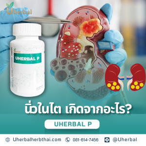 นิ่วในไต เกิดจากอะไร?