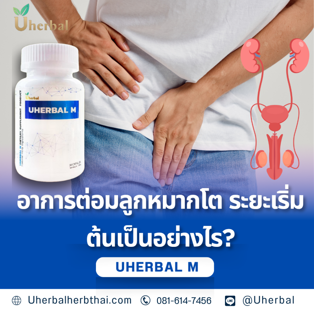 อาการต่อมลูกหมากโต ระยะเริ่มต้นเป็นอย่างไร?