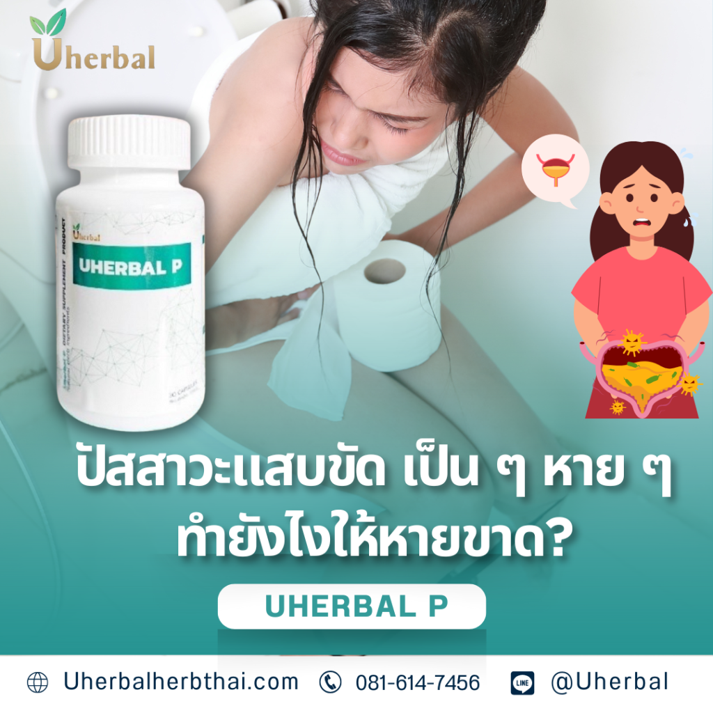 ปัสสาวะแสบขัด รักษาด้วยยาสมุนไพรได้ไหม?