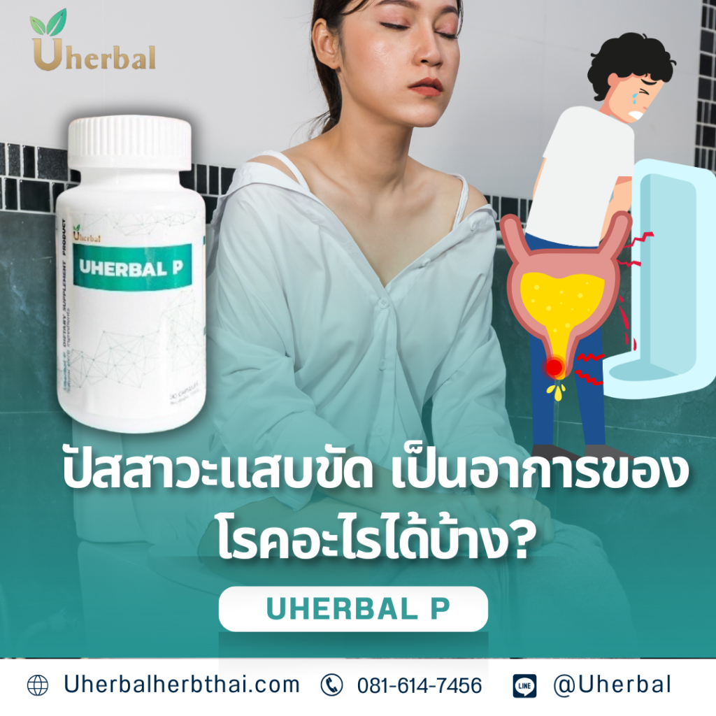 ปัสสาวะแสบขัด เป็นอาการของโรคอะไรได้บ้าง?
