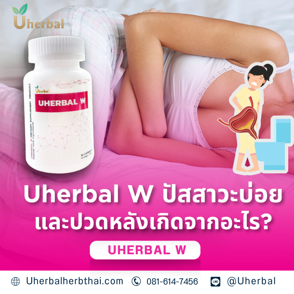 Uherbal W ปัสสาวะบ่อยและปวดหลังเกิดจากอะไร?