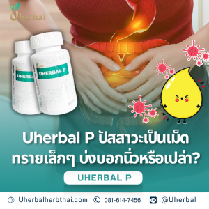Uherbal P ปัสสาวะเป็นเม็ดทรายเล็กๆ บ่งบอกนิ่วหรือเปล่า?