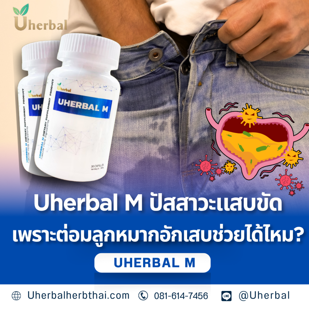 Uherbal M ปัสสาวะแสบขัดเพราะต่อมลูกหมากอักเสบช่วยได้ไหม?