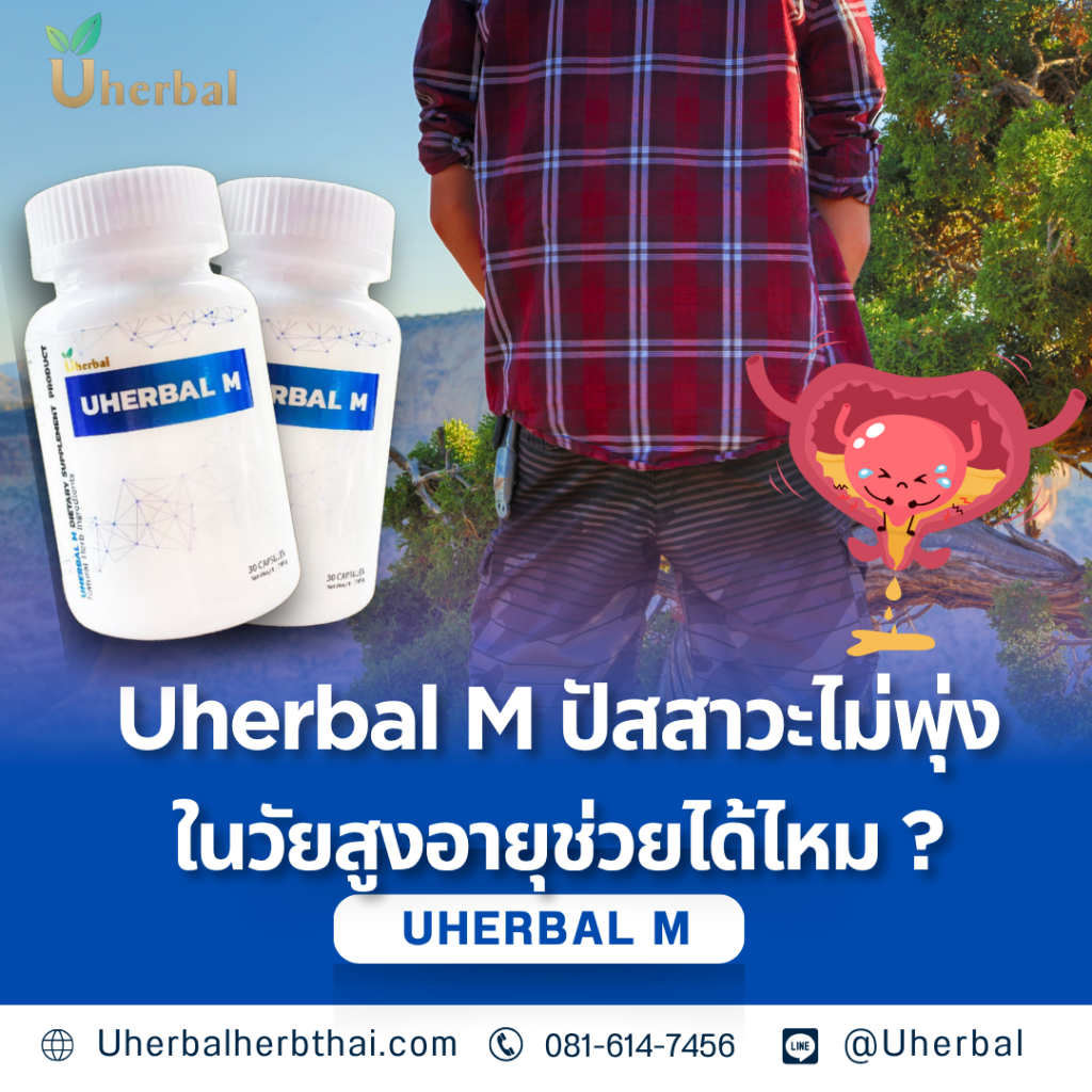 Uherbal M ปัสสาวะไม่พุ่งในวัยสูงอายุช่วยได้ไหม ?
