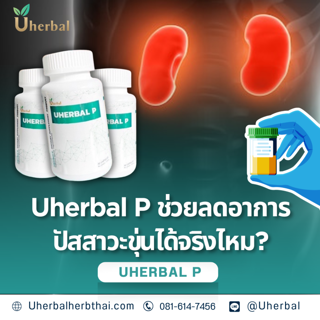 Uherbal P ช่วยลดอาการปัสสาวะขุ่นได้จริงไหม?