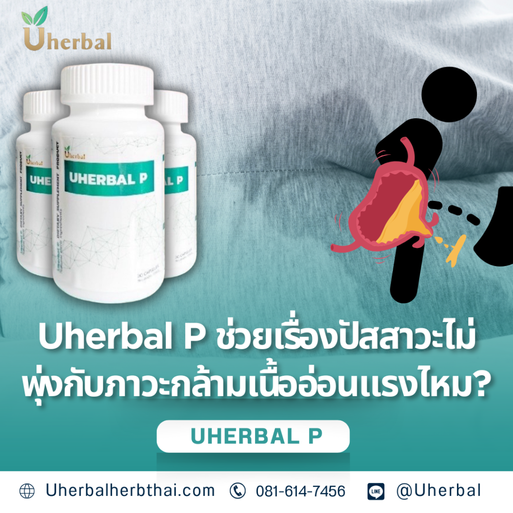 Uherbal P ช่วยเรื่องปัสสาวะไม่พุ่งกับภาวะกล้ามเนื้ออ่อนแรงไหม?