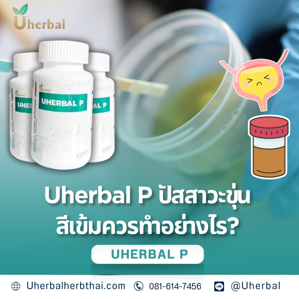 Uherbal P ปัสสาวะขุ่นสีเข้มควรทำอย่างไร?