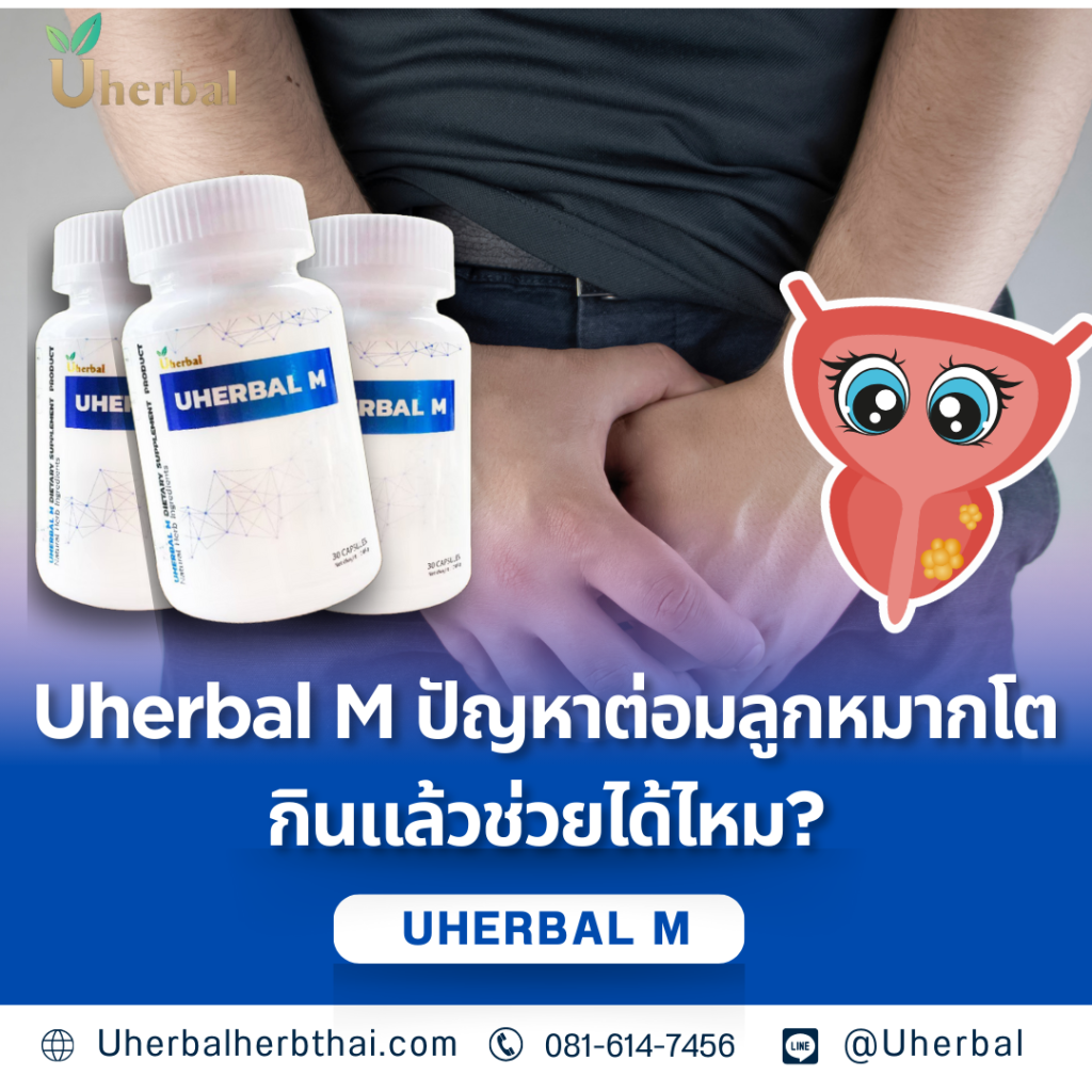 Uherbal M ปัญหาต่อมลูกหมากโต กินแล้วช่วยได้ไหม?