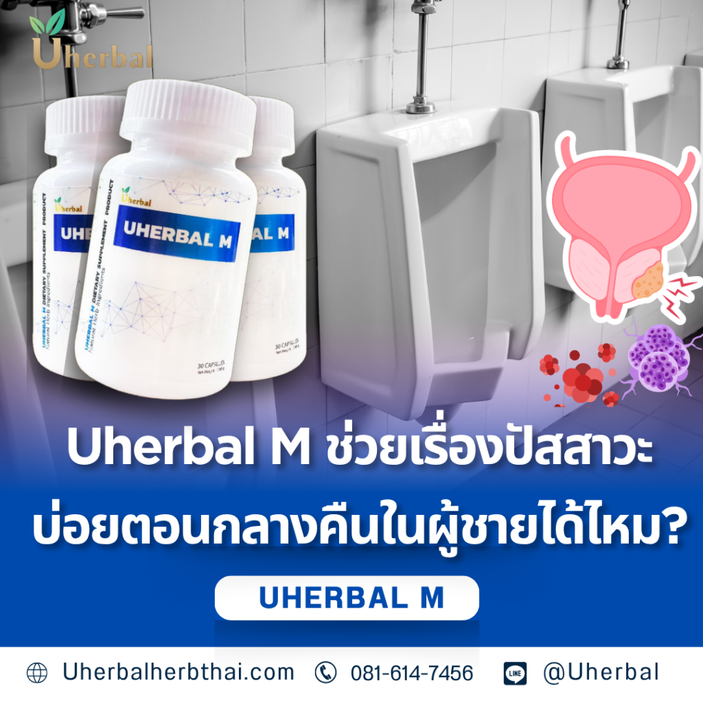 Uherbal M ช่วยเรื่องปัสสาวะบ่อยตอนกลางคืนในผู้ชายได้ไหม?