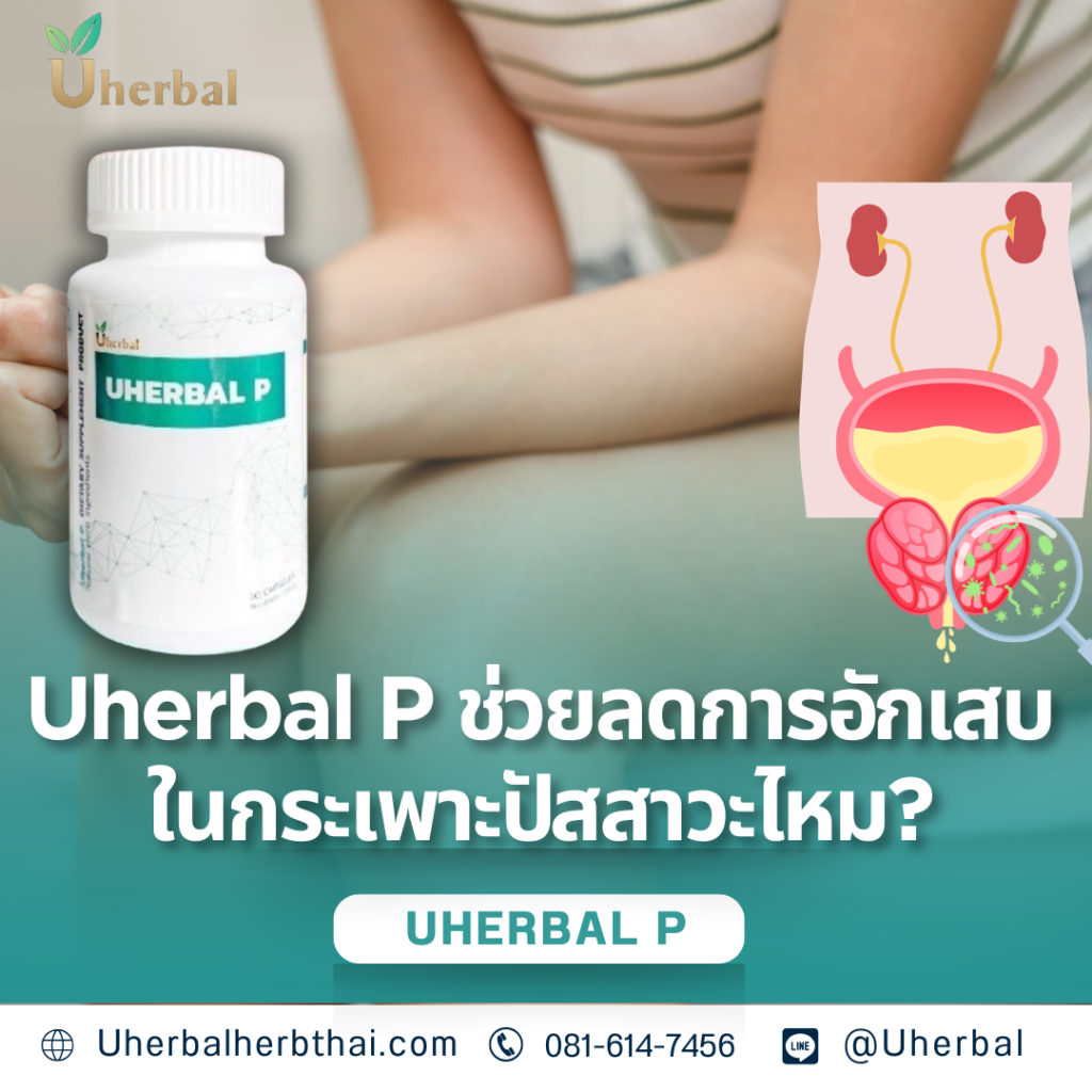 Uherbal P ช่วยลดการอักเสบในกระเพาะปัสสาวะไหม?