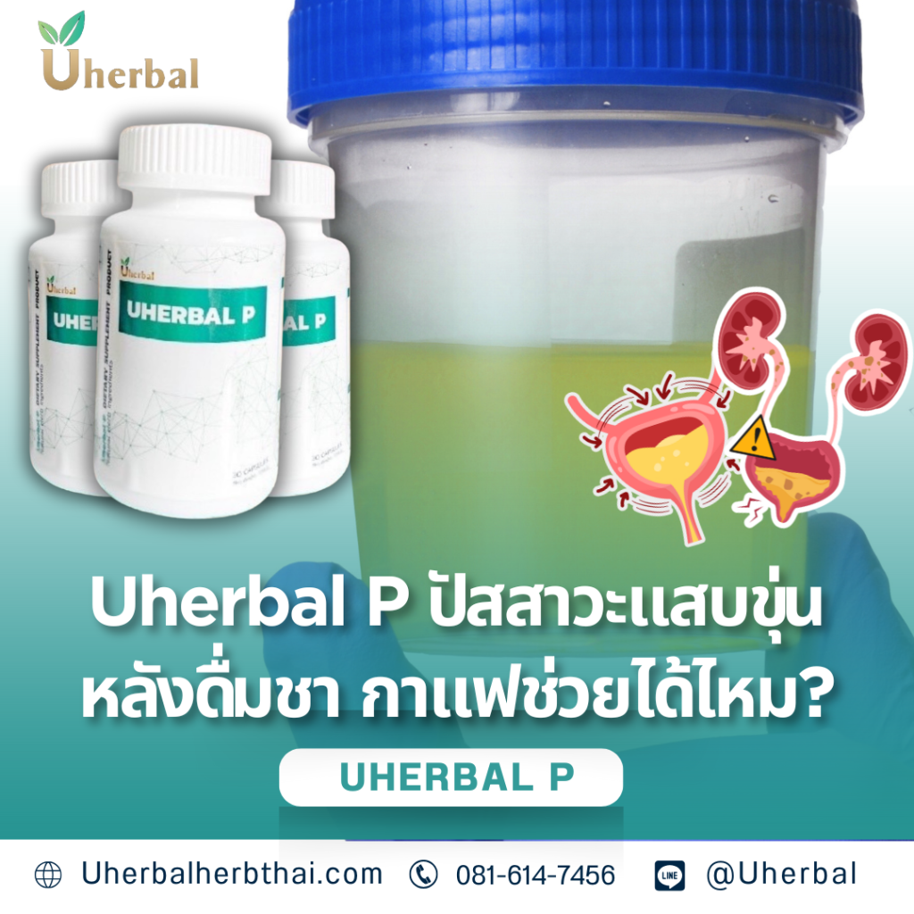 Uherbal P ปัสสาวะแสบขุ่นหลังดื่มชา กาแฟช่วยได้ไหม?