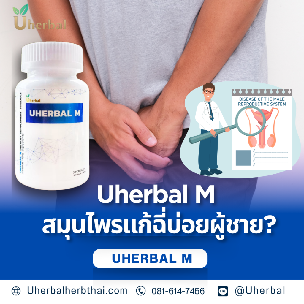 Uherbal M สมุนไพรแก้ฉี่บ่อยผู้ชาย?