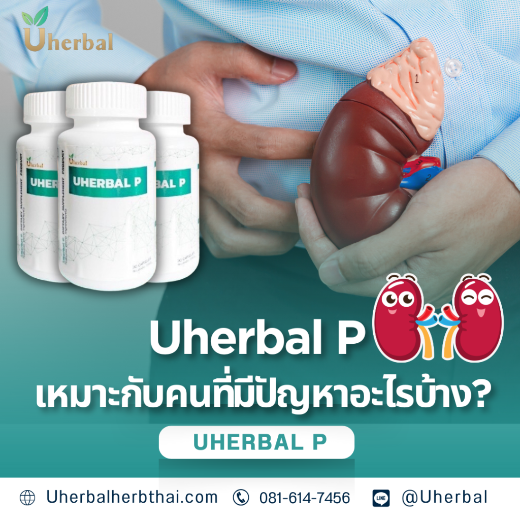 Uherbal P เหมาะกับคนที่มีปัญหาอะไรบ้าง?