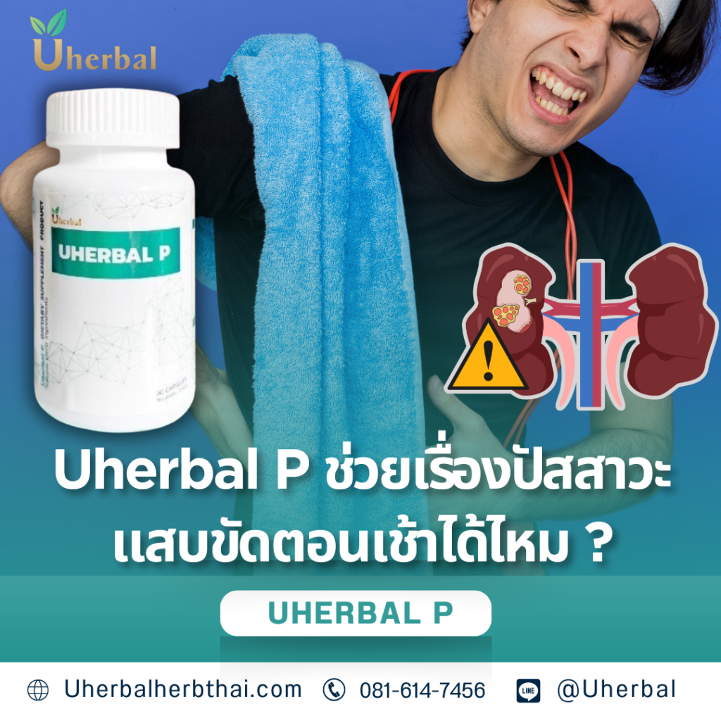 Uherbal P ช่วยเรื่องปัสสาวะแสบขัดตอนเช้าได้ไหม ?