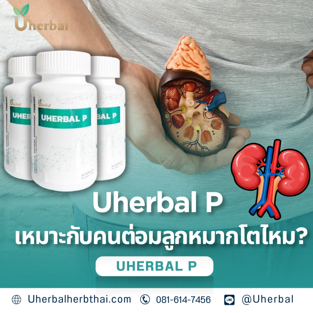 Uherbal P เหมาะกับคนต่อมลูกหมากโตไหม?