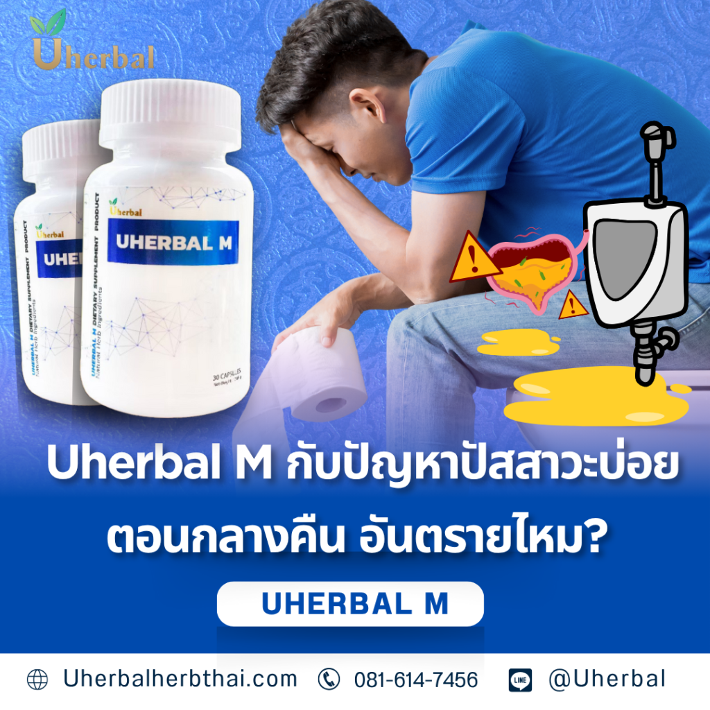 Uherbal M กับปัญหาปัสสาวะบ่อยตอนกลางคืน อันตรายไหม?