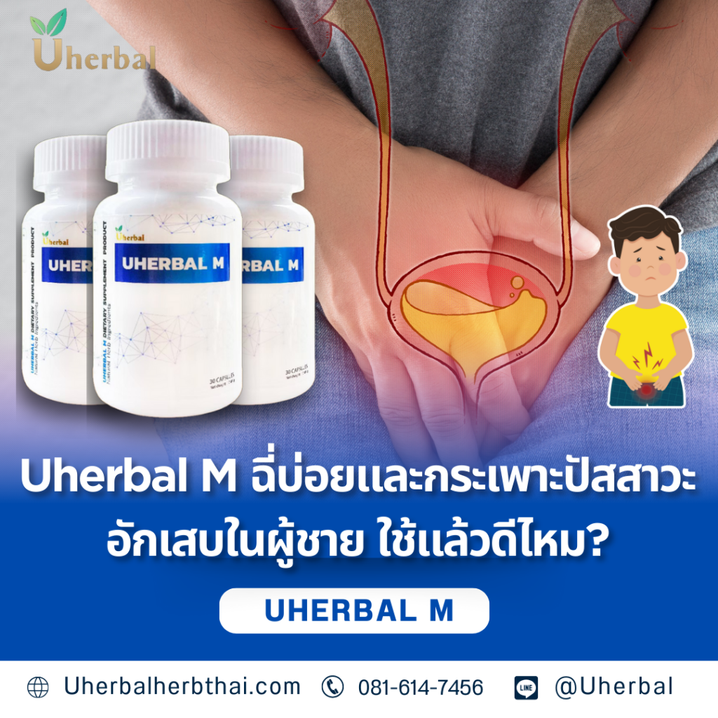 Uherbal M ฉี่บ่อยและกระเพาะปัสสาวะอักเสบในผู้ชาย ใช้แล้วดีไหม?