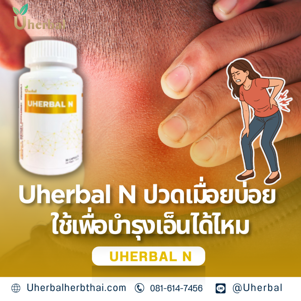 Uherbal N: ปวดเมื่อยบ่อย ใช้เพื่อบำรุงเอ็นได้ไหม?