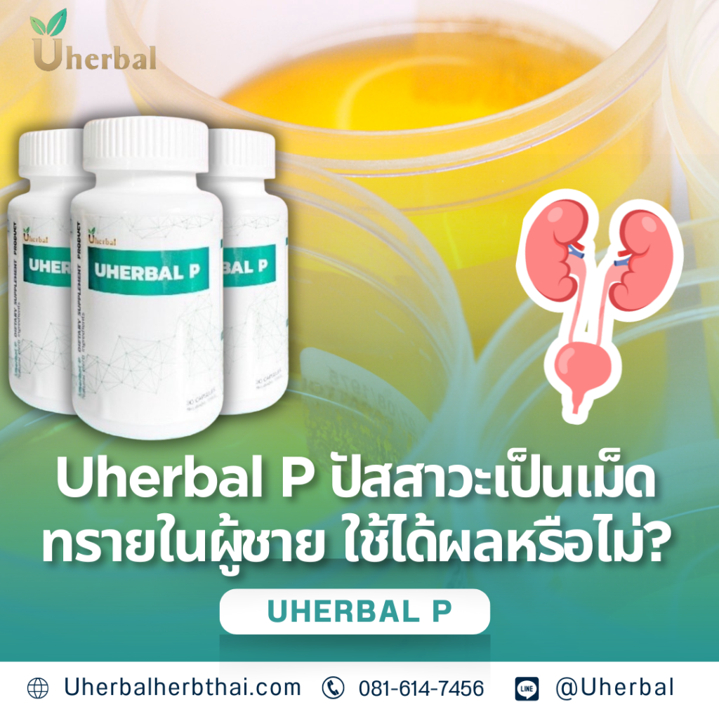 Uherbal P: ปัสสาวะเป็นเม็ดทรายในผู้ชาย ใช้ได้ผลหรือไม่?