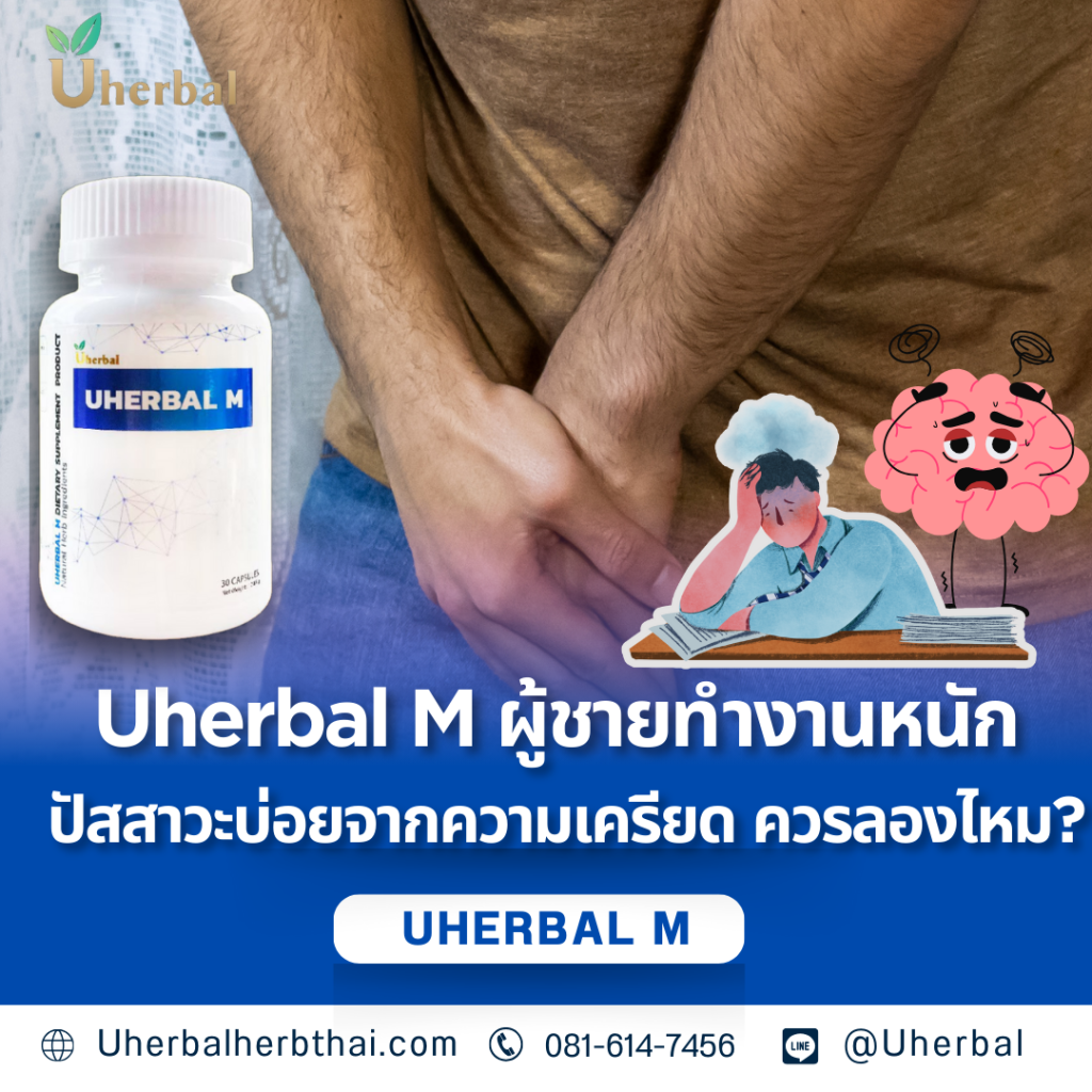 Uherbal M: ผู้ชายทำงานหนัก ปัสสาวะบ่อยจากความเครียด ควรลองไหม?