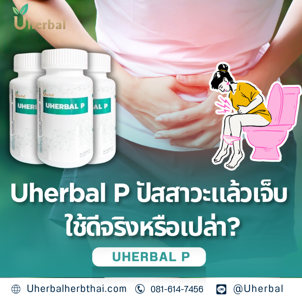 Uherbal P ปัสสาวะแล้วเจ็บ ใช้ดีจริงหรือเปล่า?