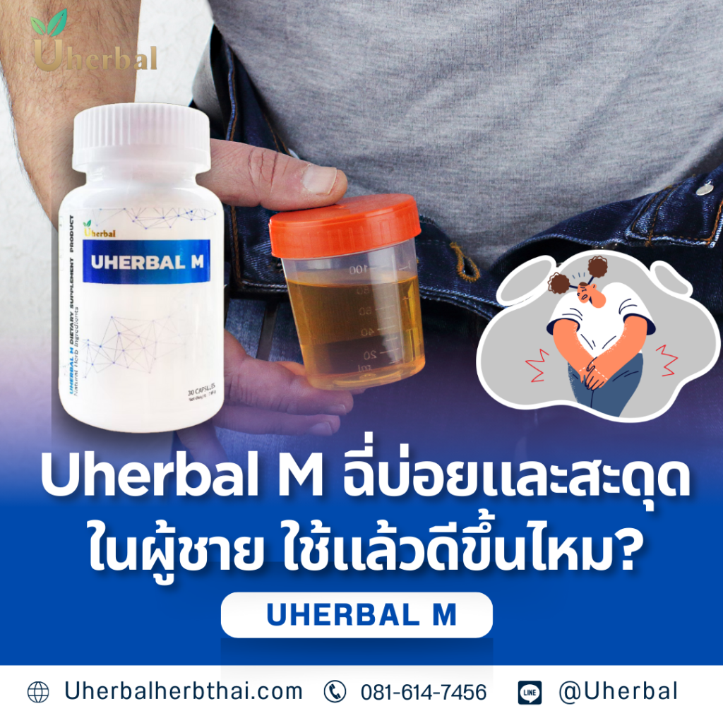 Uherbal M ฉี่บ่อยและสะดุดในผู้ชาย ใช้แล้วดีขึ้นไหม?