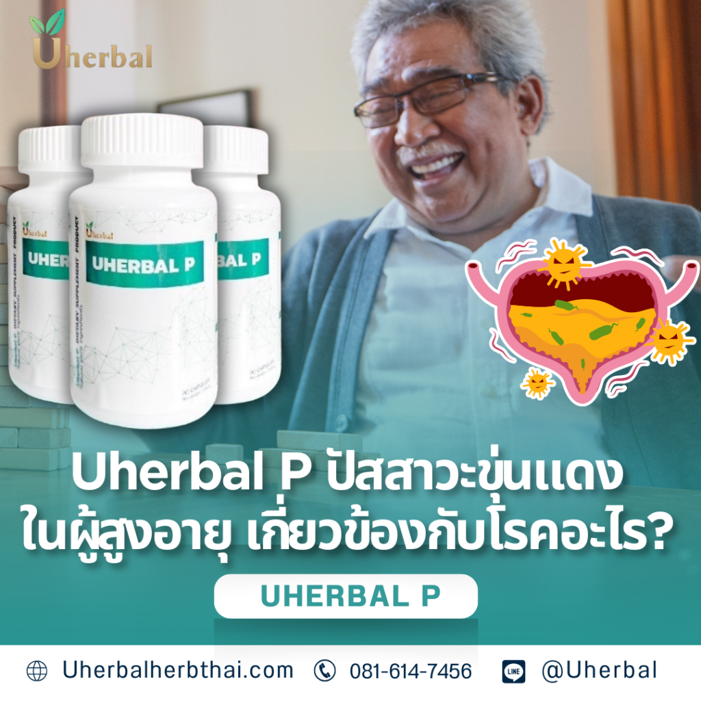 Uherbal P ปัสสาวะขุ่นแดงในผู้สูงอายุ เกี่ยวข้องกับโรคอะไร? 