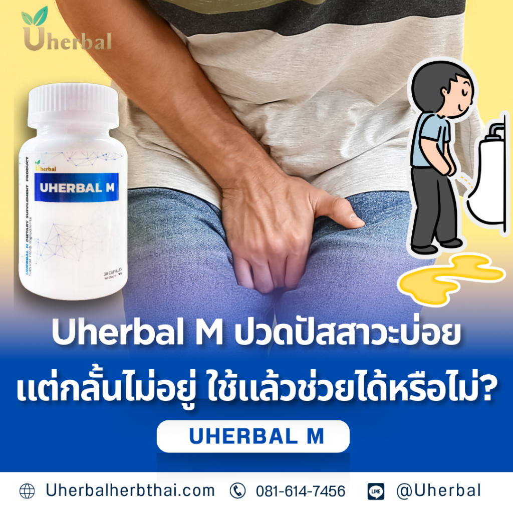 Uherbal M ปวดปัสสาวะบ่อยแต่กลั้นไม่อยู่ ใช้แล้วช่วยได้หรือไม่?