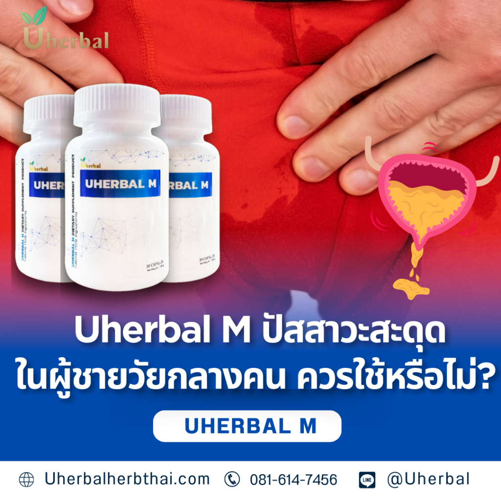 Uherbal M: ปัสสาวะสะดุดในผู้ชายวัยกลางคน ควรใช้หรือไม่?