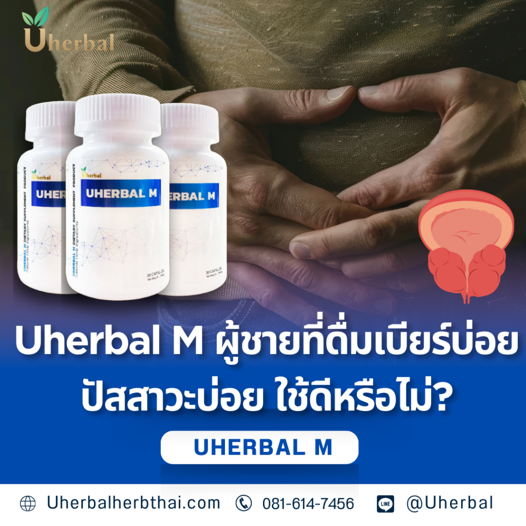 Uherbal M ผู้ชายที่ดื่มเบียร์บ่อย ปัสสาวะบ่อย ใช้ดีหรือไม่?
