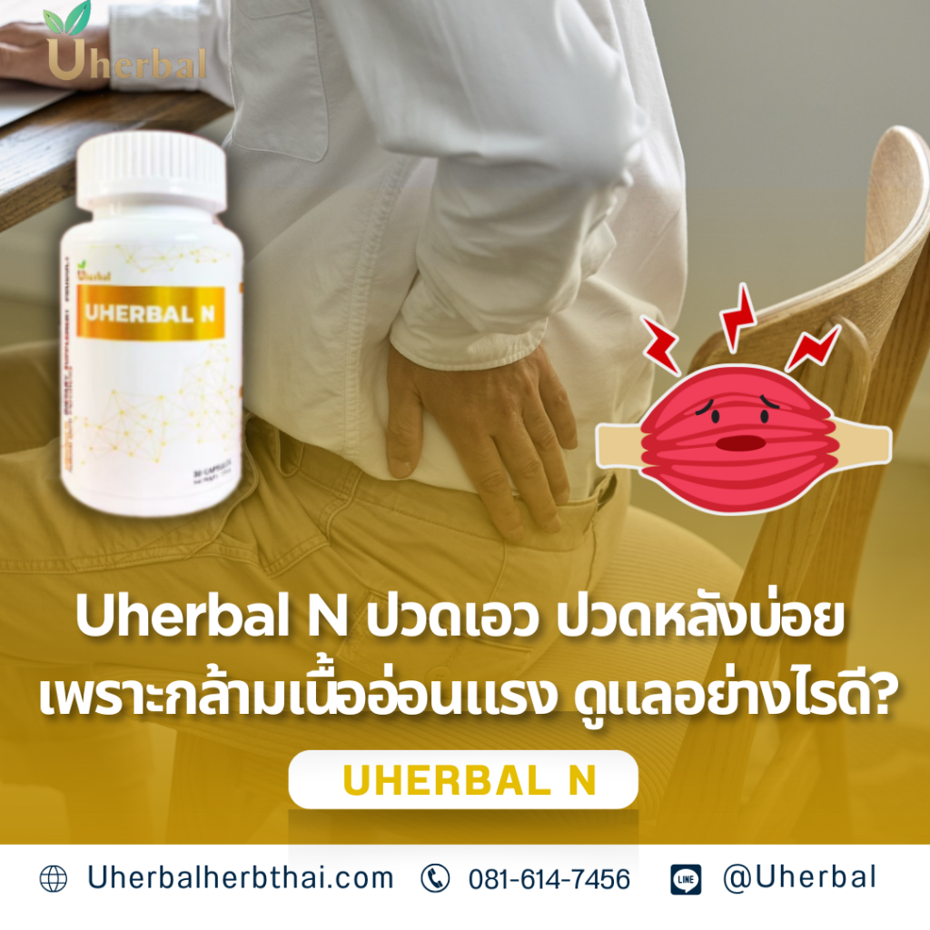 Uherbal N ปวดเอว ปวดหลังบ่อย เพราะกล้ามเนื้ออ่อนแรง ดูแลอย่างไรดี?