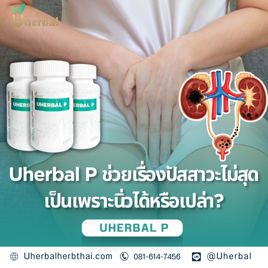 Uherbal P ช่วยเรื่องปัสสาวะไม่สุด เป็นเพราะนิ่วได้หรือเปล่า?