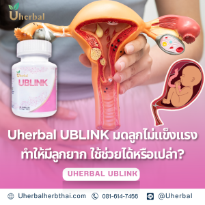 Uherbal UBLINK มดลูกไม่แข็งแรงทำให้มีลูกยาก? ใช้ช่วยได้หรือเปล่า? 