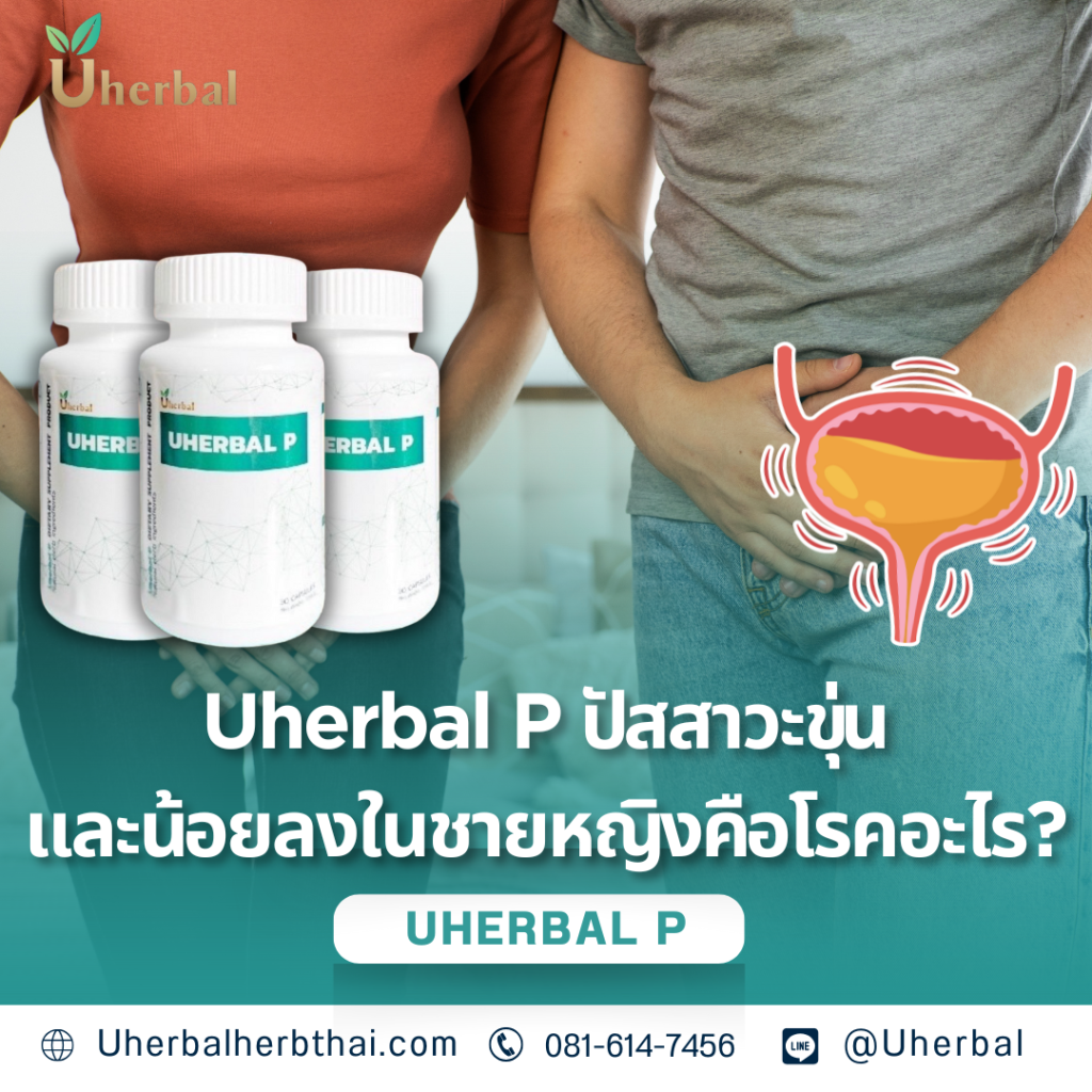 Uherbal P ปัสสาวะขุ่นและน้อยลงในชายหญิง