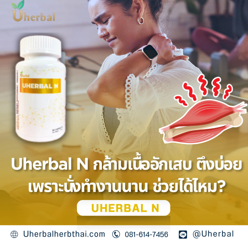 Uherbal N กล้ามเนื้ออักเสบ ตึงบ่อยเพราะนั่งทำงานนาน ช่วยได้ไหม?
