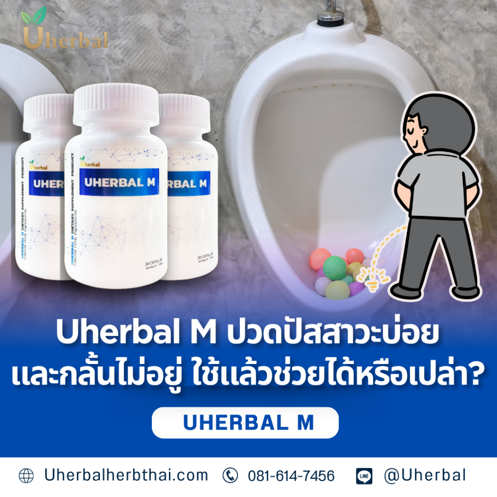Uherbal M ปวดปัสสาวะบ่อยและกลั้นไม่อยู่ ใช้แล้วช่วยได้หรือเปล่า?