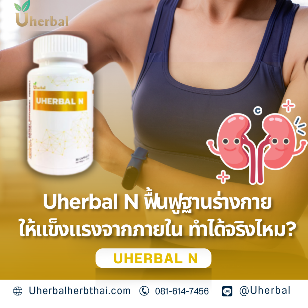 Uherbal N ฟื้นฟูฐานร่างกายให้แข็งแรงจากภายใน ทำได้จริงไหม? 