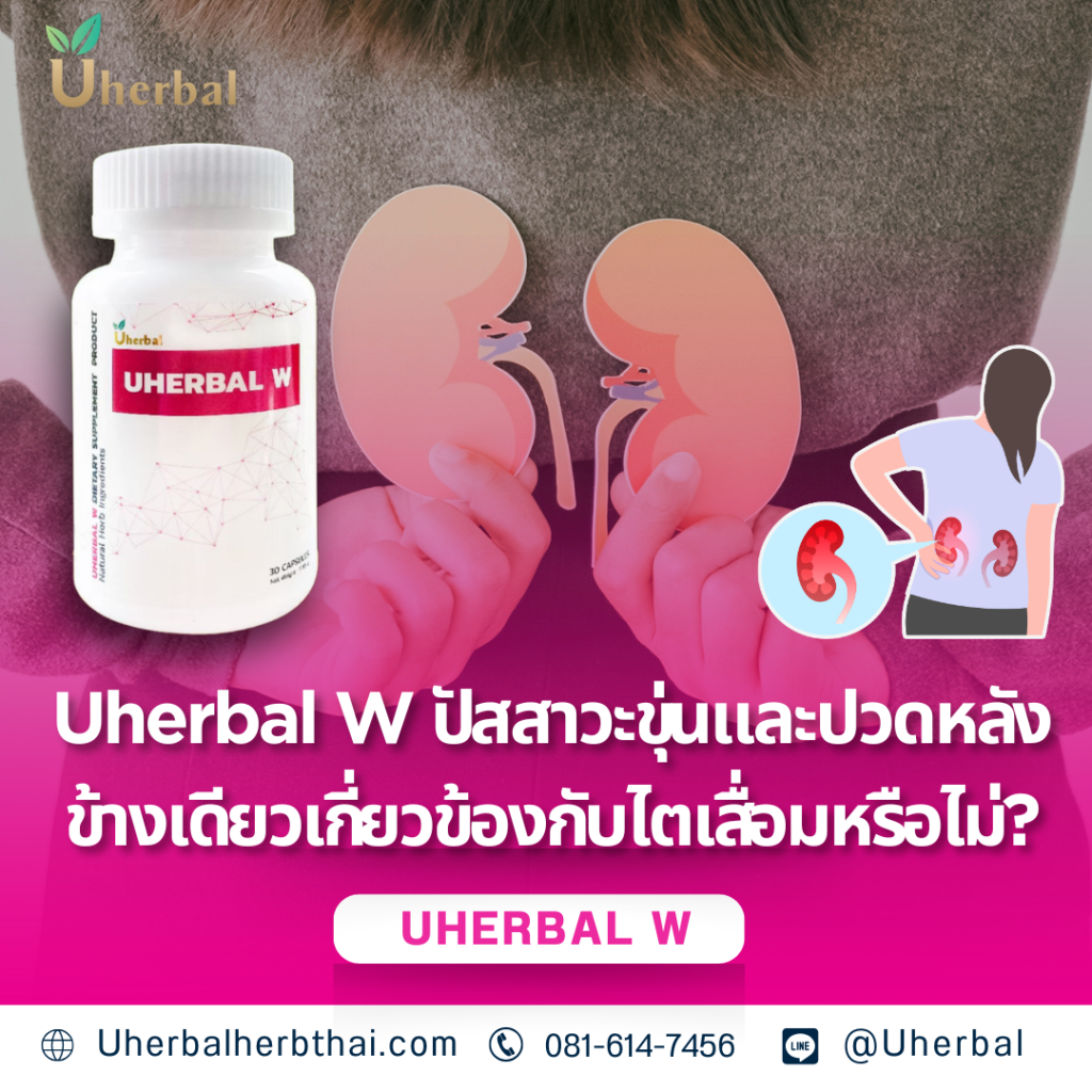 Uherbal W ปัสสาวะขุ่นและปวดหลังข้างเดียวเกี่ยวข้องกับไตเสื่อมหรือไม่?