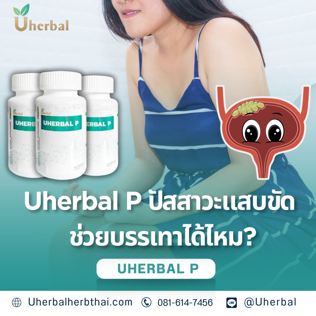 Uherbal P ปัสสาวะแสบขัด ช่วยบรรเทาได้ไหม?