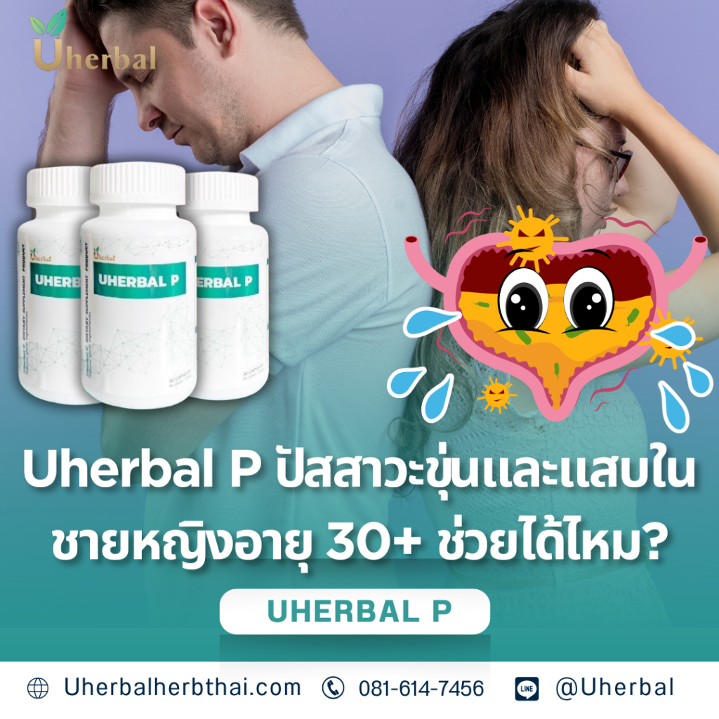 Uherbal P: ปัสสาวะขุ่นและแสบในชายหญิงอายุ 30+ ช่วยได้ไหม? 