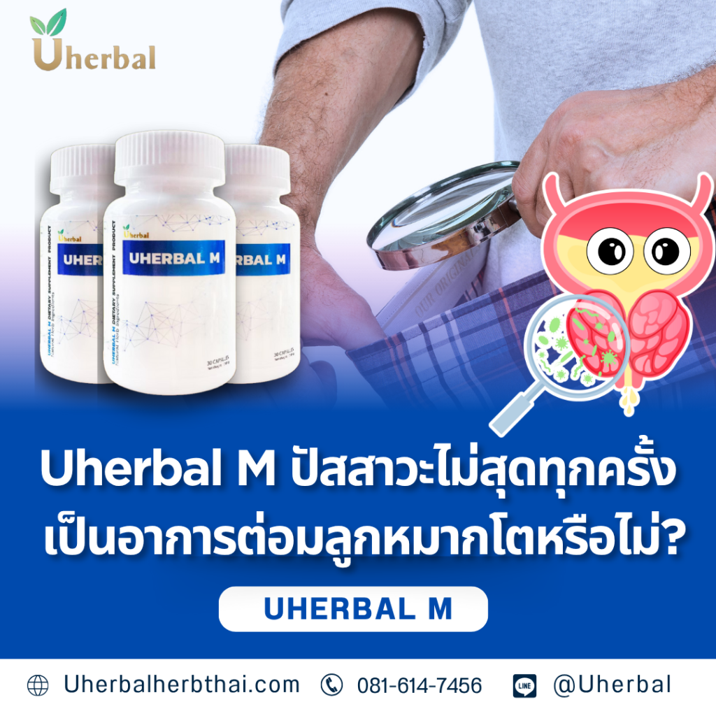 Uherbal M ปัสสาวะไม่สุดทุกครั้ง เป็นอาการต่อมลูกหมากโตหรือไม่?