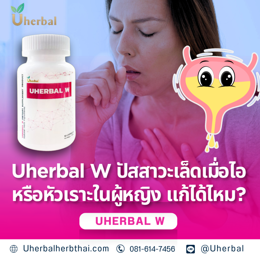Uherbal W ปัสสาวะเล็ดเมื่อไอหรือหัวเราะในผู้หญิง แก้ได้ไหม? ✅ Uherbal UBLINK ทางเลือกดูแลจากธรรมชาติ ช่วยปรับสมดุลฮอร์โมน บำรุงภายใน และคืนความสุขในชีวิตคู่ให้คุณผู้หญิงวัยทองได้จริง! 🌿 4 พลังที่ Uherbal UBLINK จะช่วยดูแล: ปรับสมดุลฮอร์โมน: 📈 "ไฟโตเอสโตรเจน" ช่วยให้ฮอร์โมนเป็นปกติ... คืนความชุ่มชื้นและอารมณ์ทางเพศ บำรุงเลือดลม + มดลูก: 💪 เลือดลมเดินดี... มดลูกแข็งแรง... ทำให้ภายในสมบูรณ์ ลดอาการวัยทอง: ⬇️ ลดร้อนวูบวาบ... นอนหลับดีขึ้น... อารมณ์สดใส เสริมสุข + คืนมั่นใจ: 💖 เมื่อร่างกายพร้อม... ก็กลับมามีความสุขกับชีวิตคู่ได้อย่างเต็มที่ 👉 ให้ Uherbal UBLINK เป็นตัวช่วย "ปลุกความสดชื่น" และ "ความสุขในชีวิตคู่" ของคุณผู้หญิงวัยทอง ให้กลับมาเปล่งประกายอีกครั้งครับ/คะ! 💬 คุณมีปัญหาเรื่องวัยทองแบบไหนบ้างคะ? ปรึกษาฟรี! 📞 โทร: 081-614-7456 💬 LINE ID: @uherbal 🌐 คลิกแอดไลน์: https://line.me/ti/p/~@uherbal Uherbal W ปัสสาวะเล็ดเมื่อไอหรือหัวเราะในผู้หญิง แก้ได้ไหม?