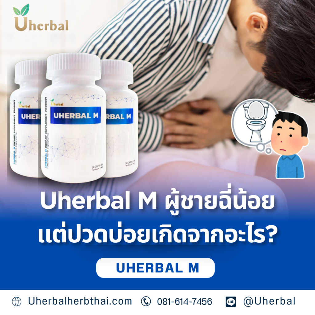 Uherbal M ผู้ชายฉี่น้อยแต่ปวดบ่อยเกิดจากอะไร?