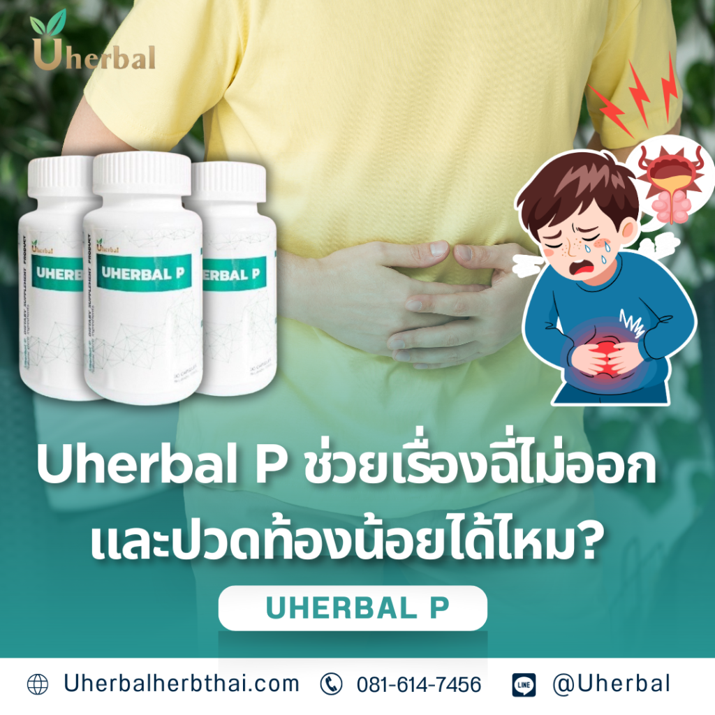 Uherbal P ช่วยเรื่องฉี่ไม่ออกและปวดท้องน้อยได้ไหม?