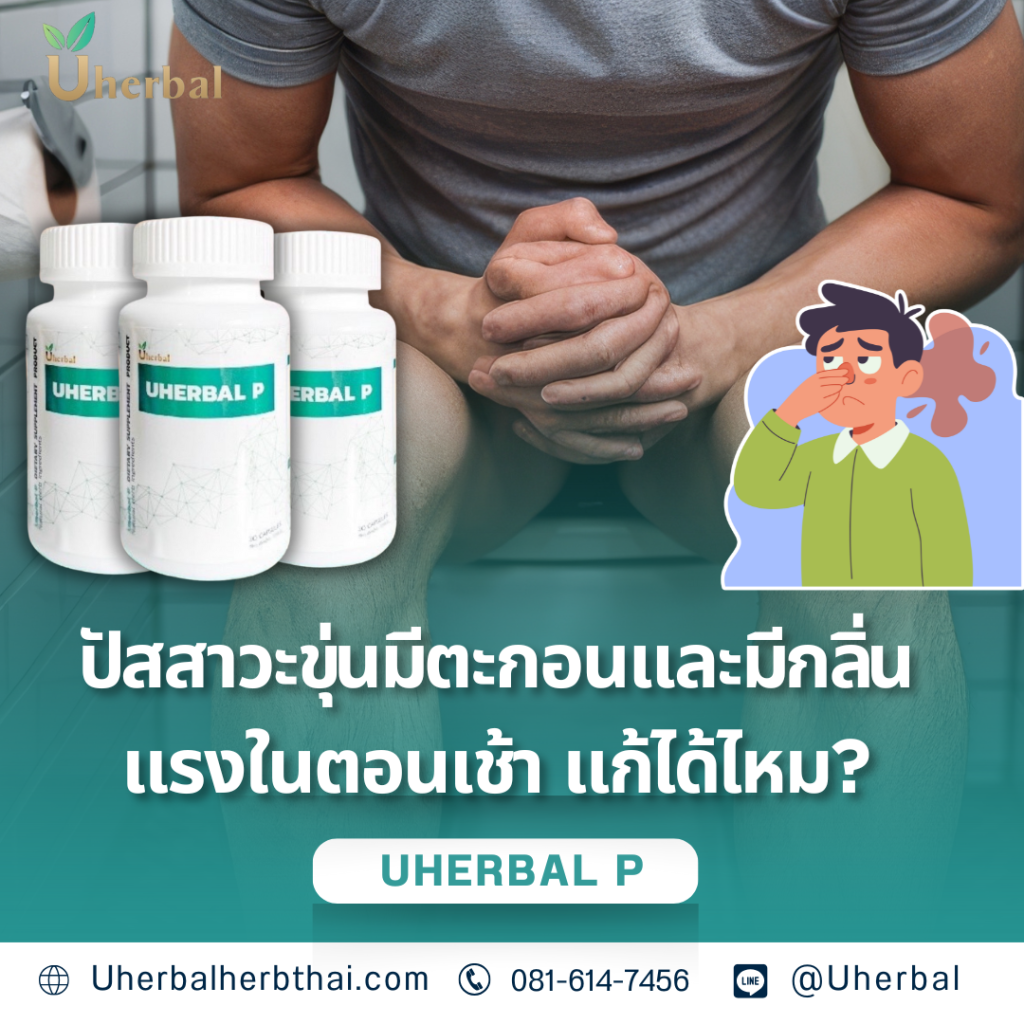 "ปัสสาวะขุ่นมีตะกอนและมีกลิ่นแรงในตอนเช้า" แก้ได้ไหม? 