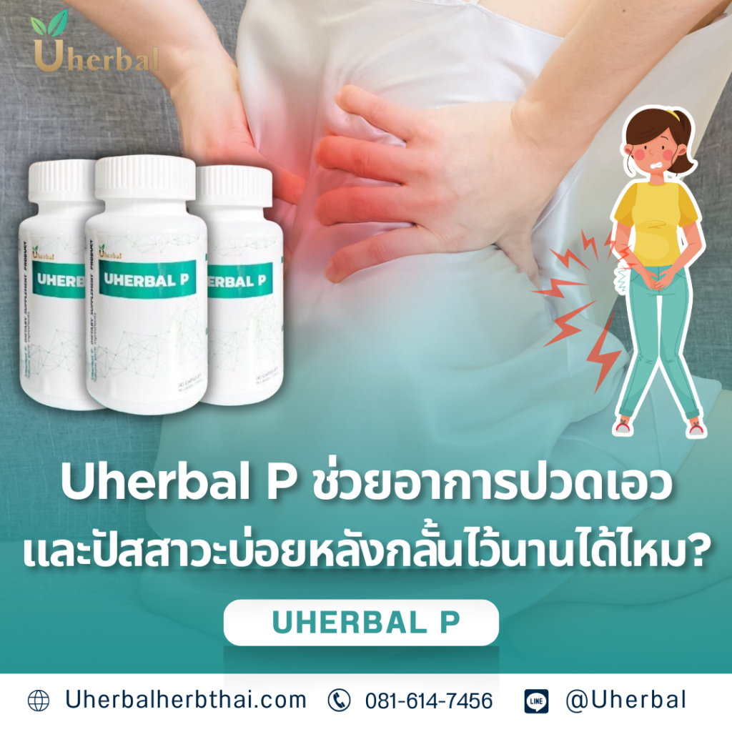 Uherbal P ช่วยอาการปวดเอวและปัสสาวะบ่อยหลังกลั้นไว้นานได้ไหม?