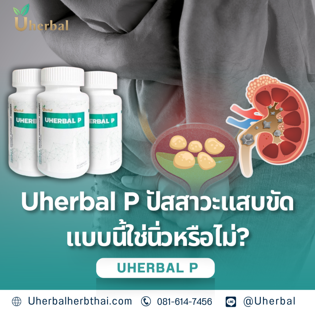 Uherbal P "ปัสสาวะแสบขัด" แบบนี้... ใช่นิ่วหรือไม่? 